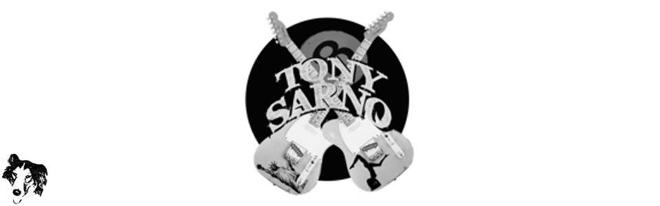 Tony Sarno Official Website